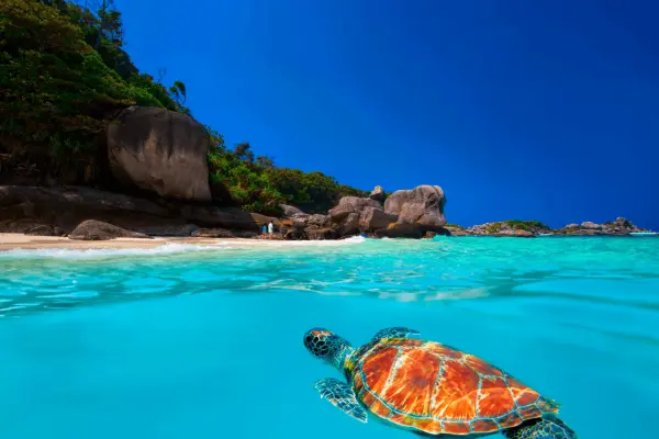 Морские экскурсии в Таиланде