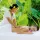 Spa & Massage in Thailand