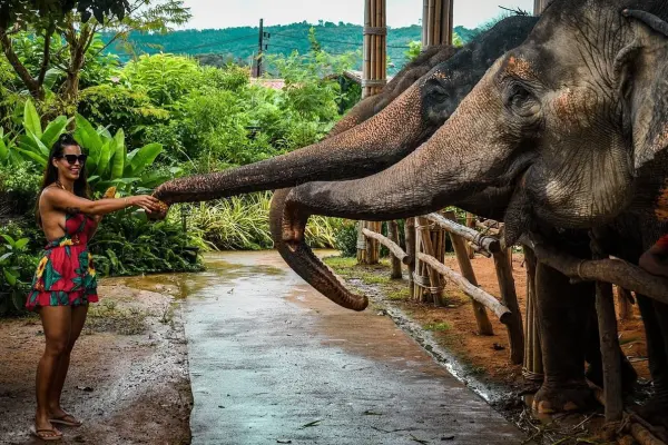 Развлечения и активный отдых в Таиланде