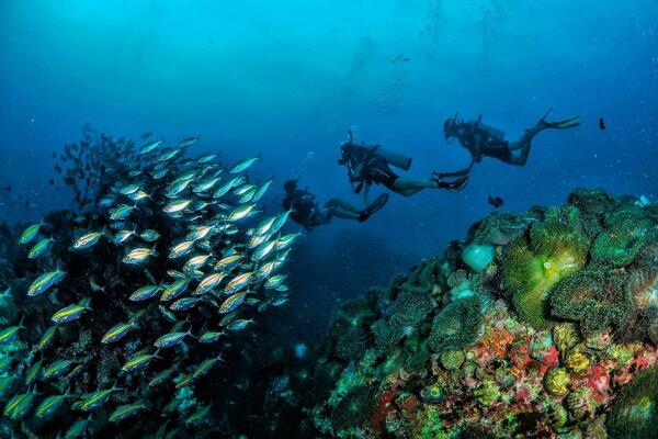 Diving
