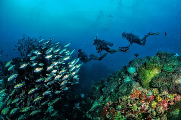 Diving in Thailand