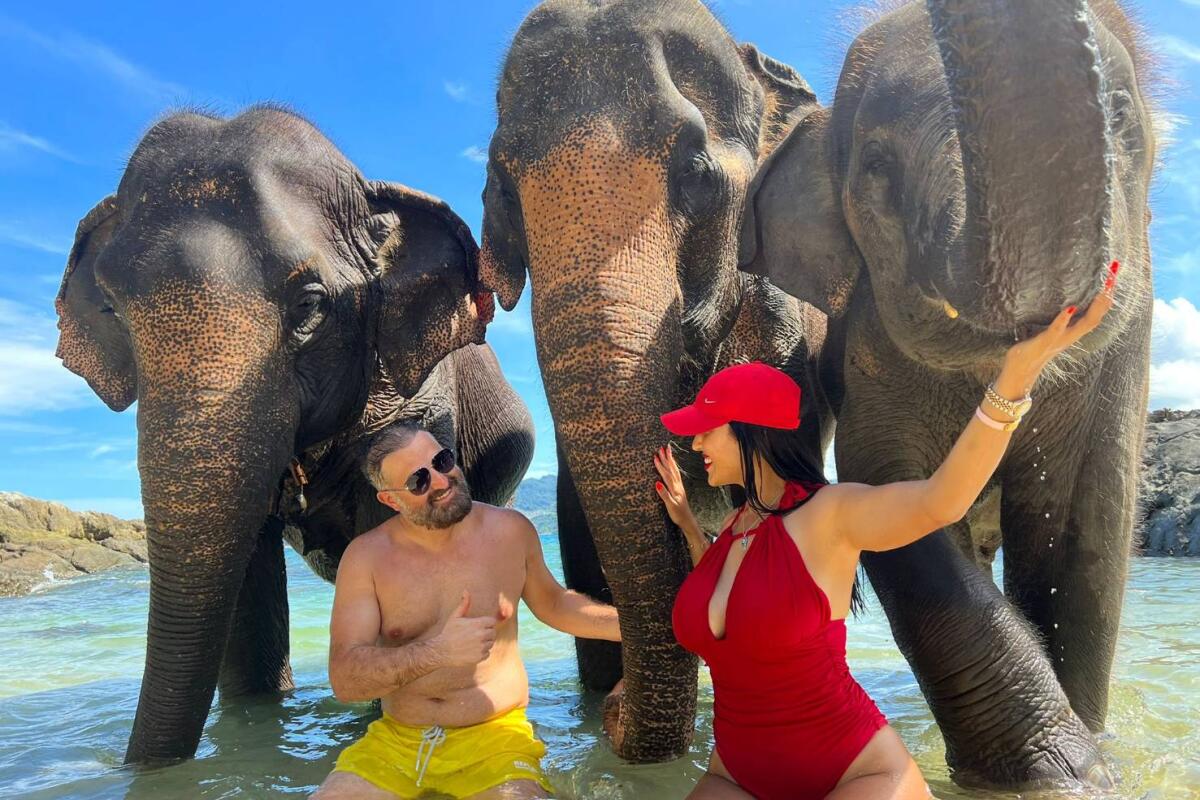 Elephant swimming Tritrang
