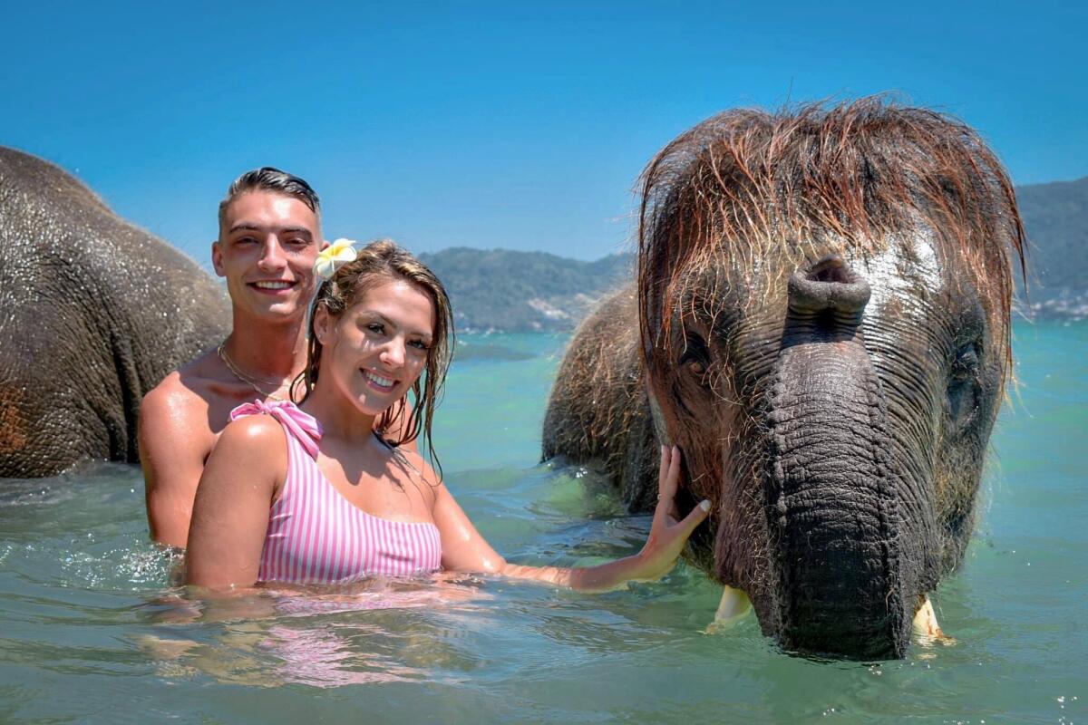 Elephant swimming Tritrang
