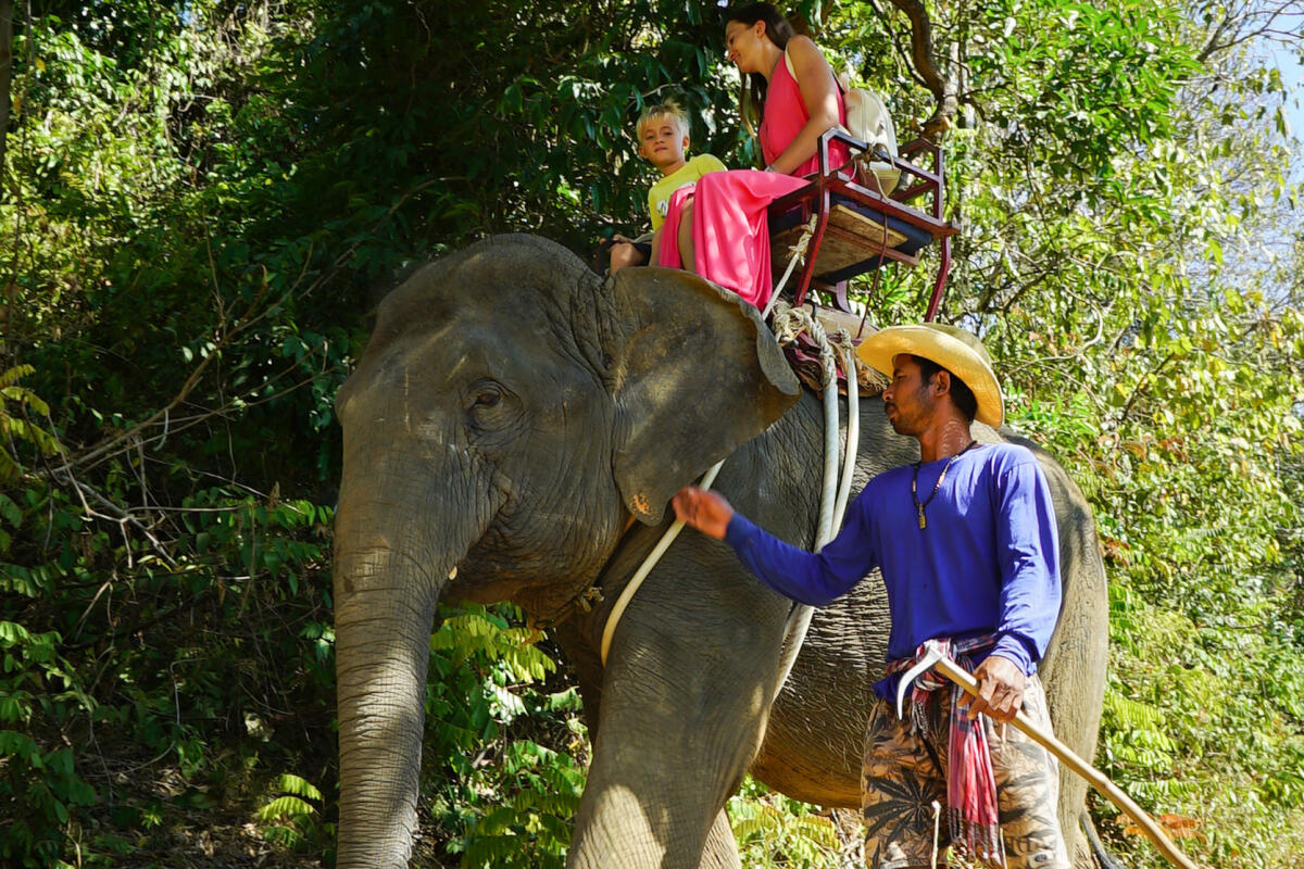 Elephant trekking Kata, 30 min