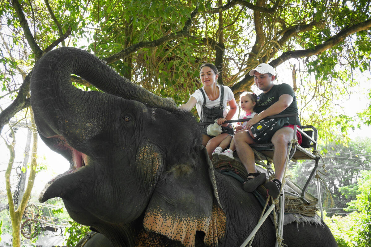 Elephant trekking Kata, 30 min