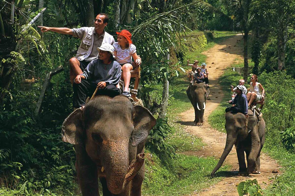 Elephant trekking Kata, 30 min
