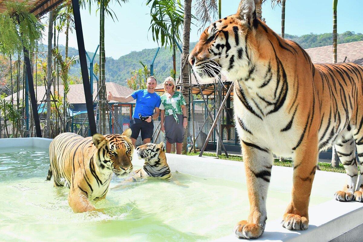 Tiger park