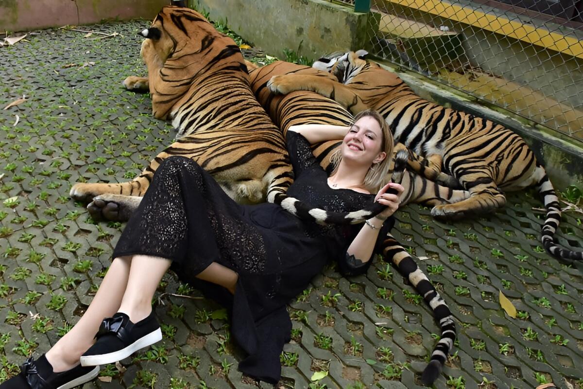 Tiger park