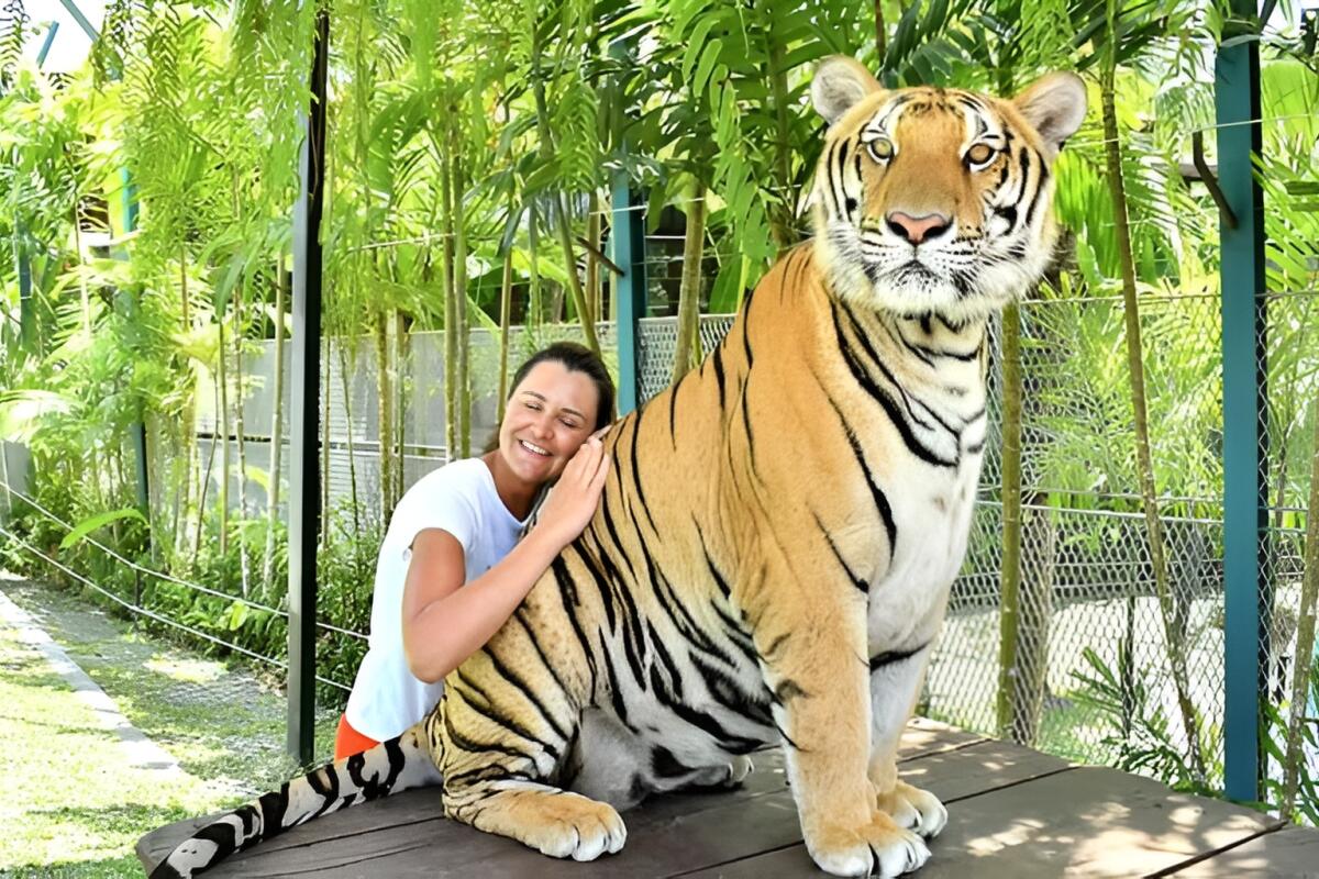 Tiger park