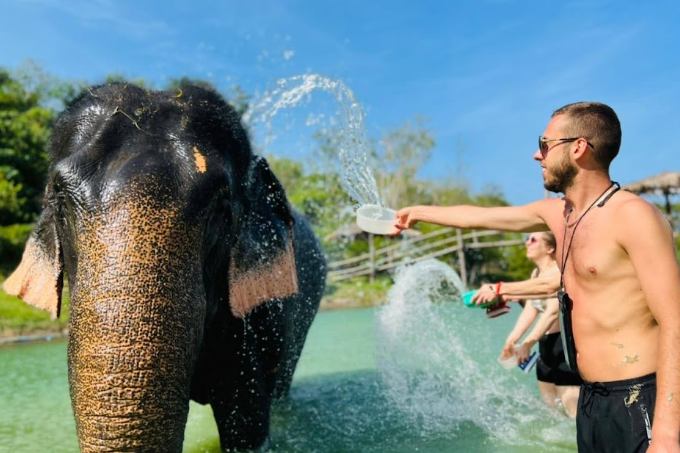 Phuket elephant care