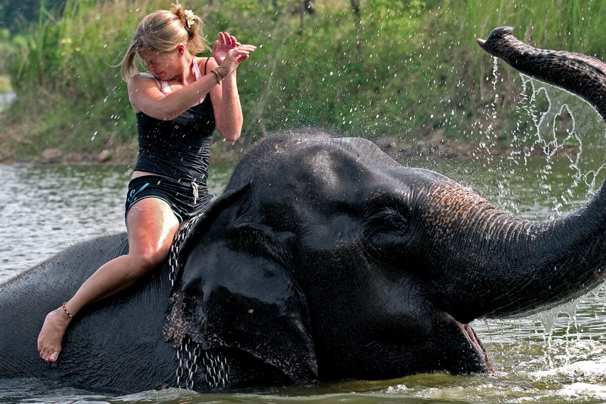 Elephant camp Kamala