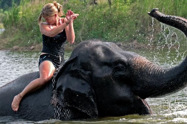 Elephant camp Kamala