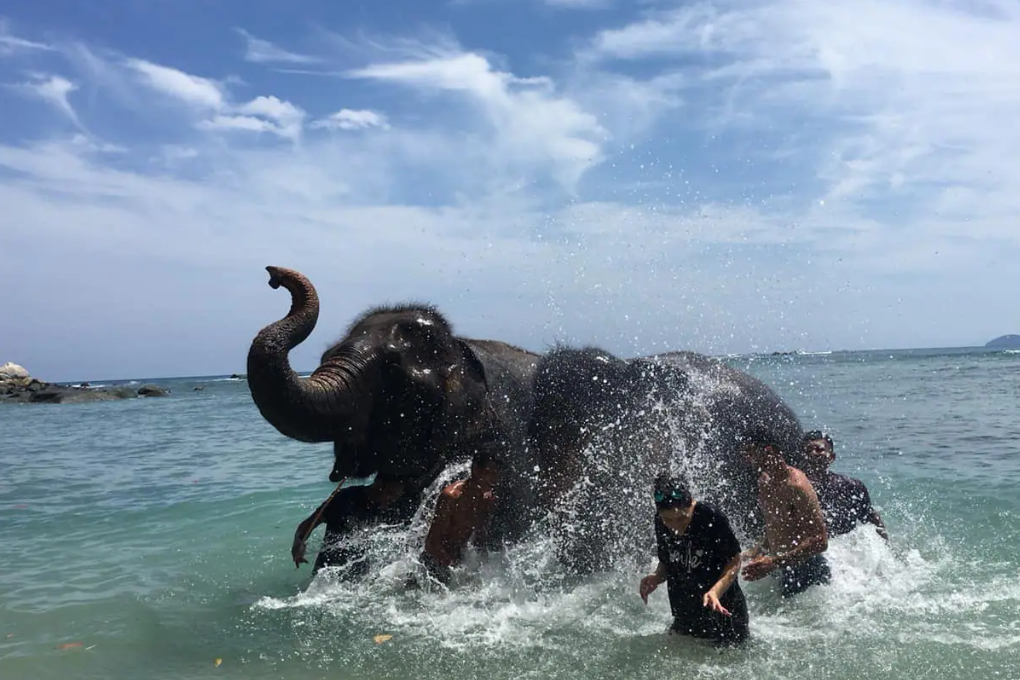 Elephant camp Kamala