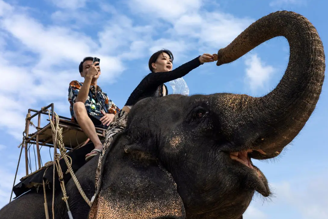 Elephant camp Kamala