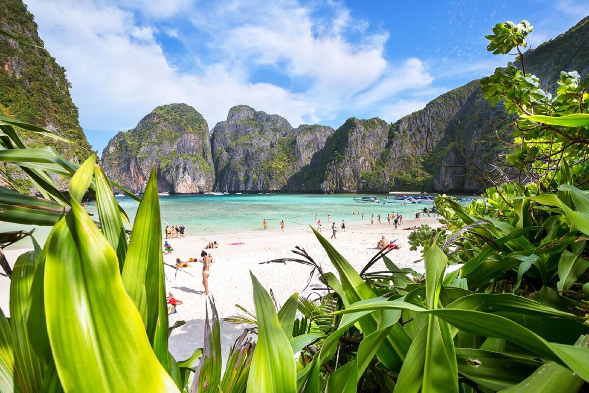 Phi Phi early