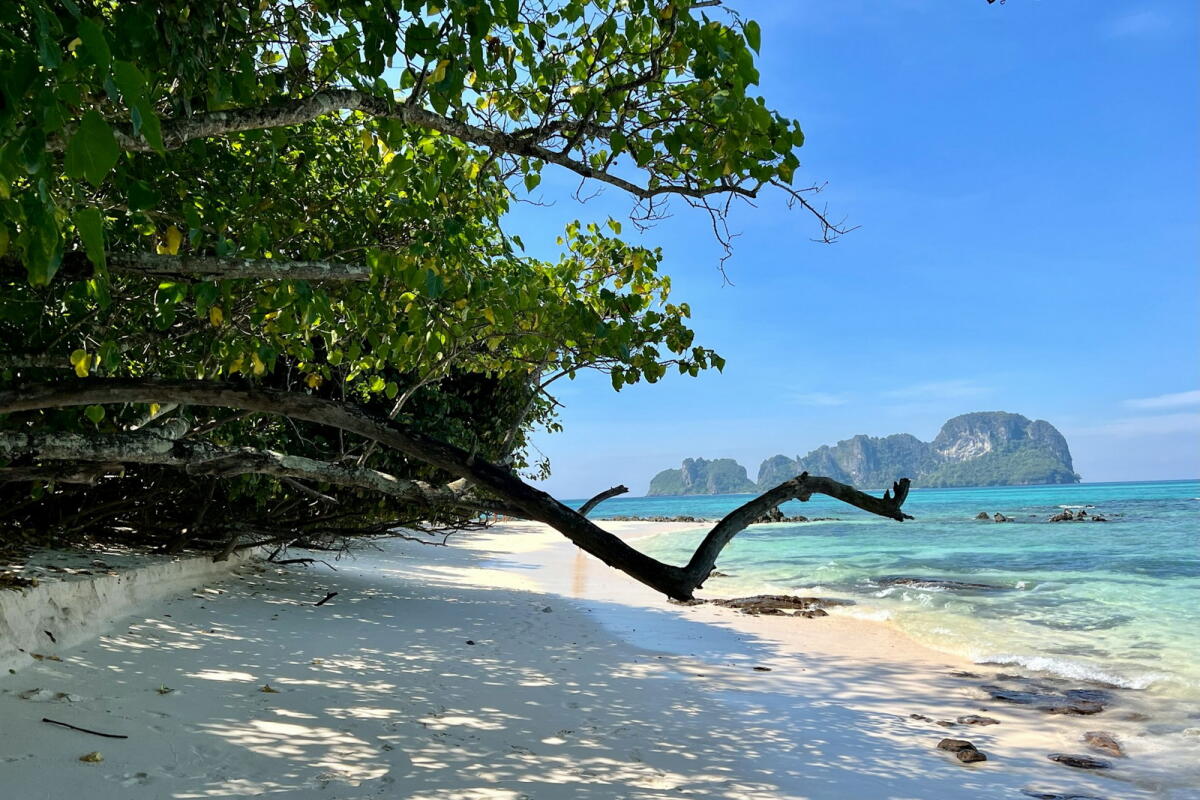 Phi Phi early