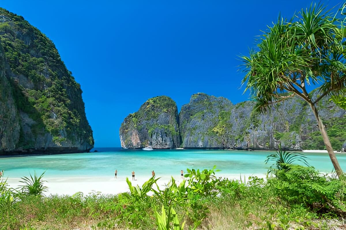 Phi Phi early