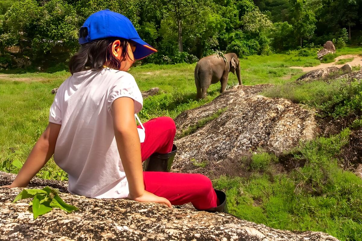 Bukit elephant park