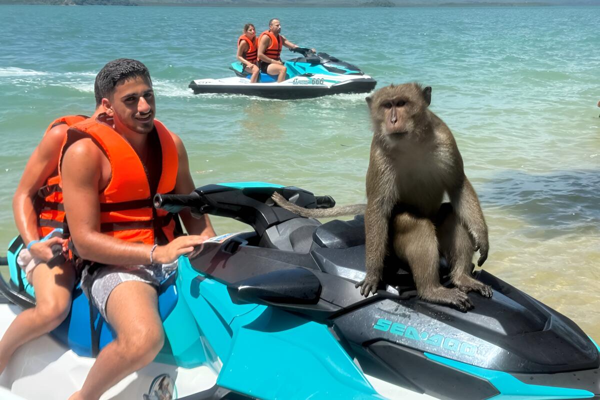 Jet Ski Avatar