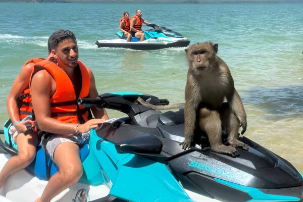 Тур на гидроциклах Jet Ski Avatar