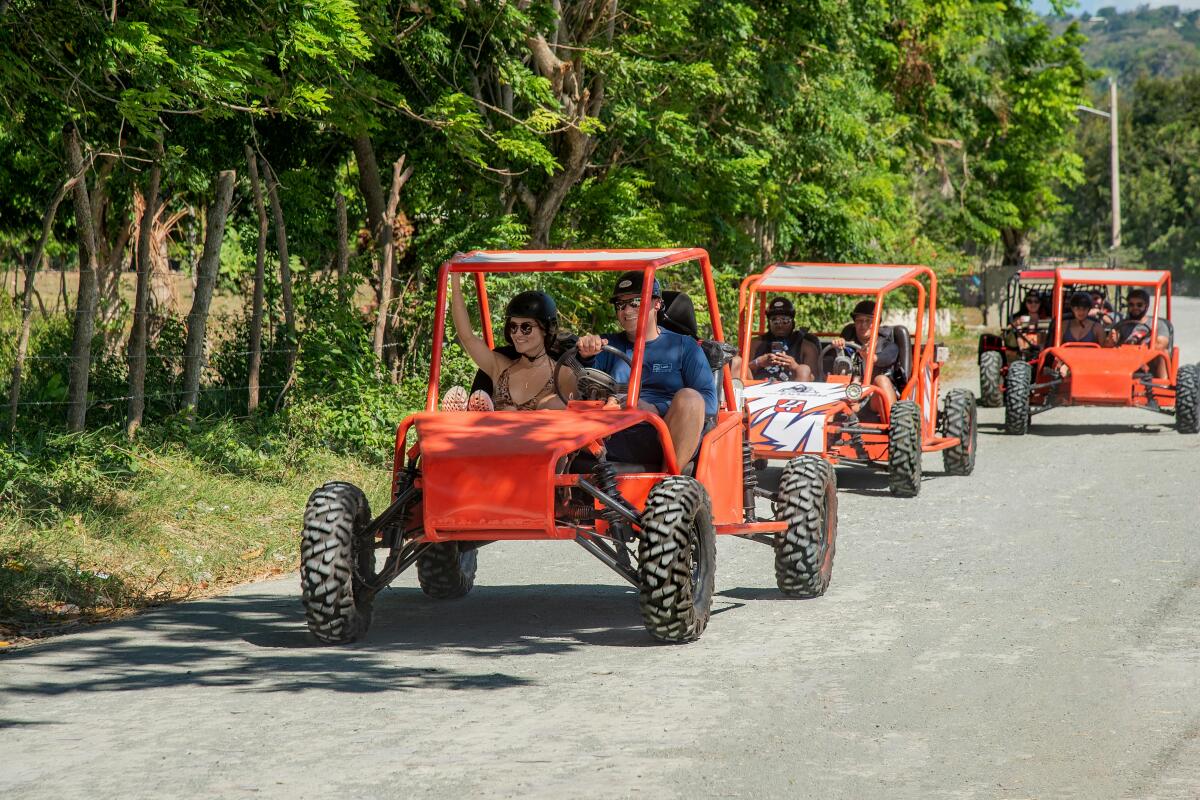 Buggy