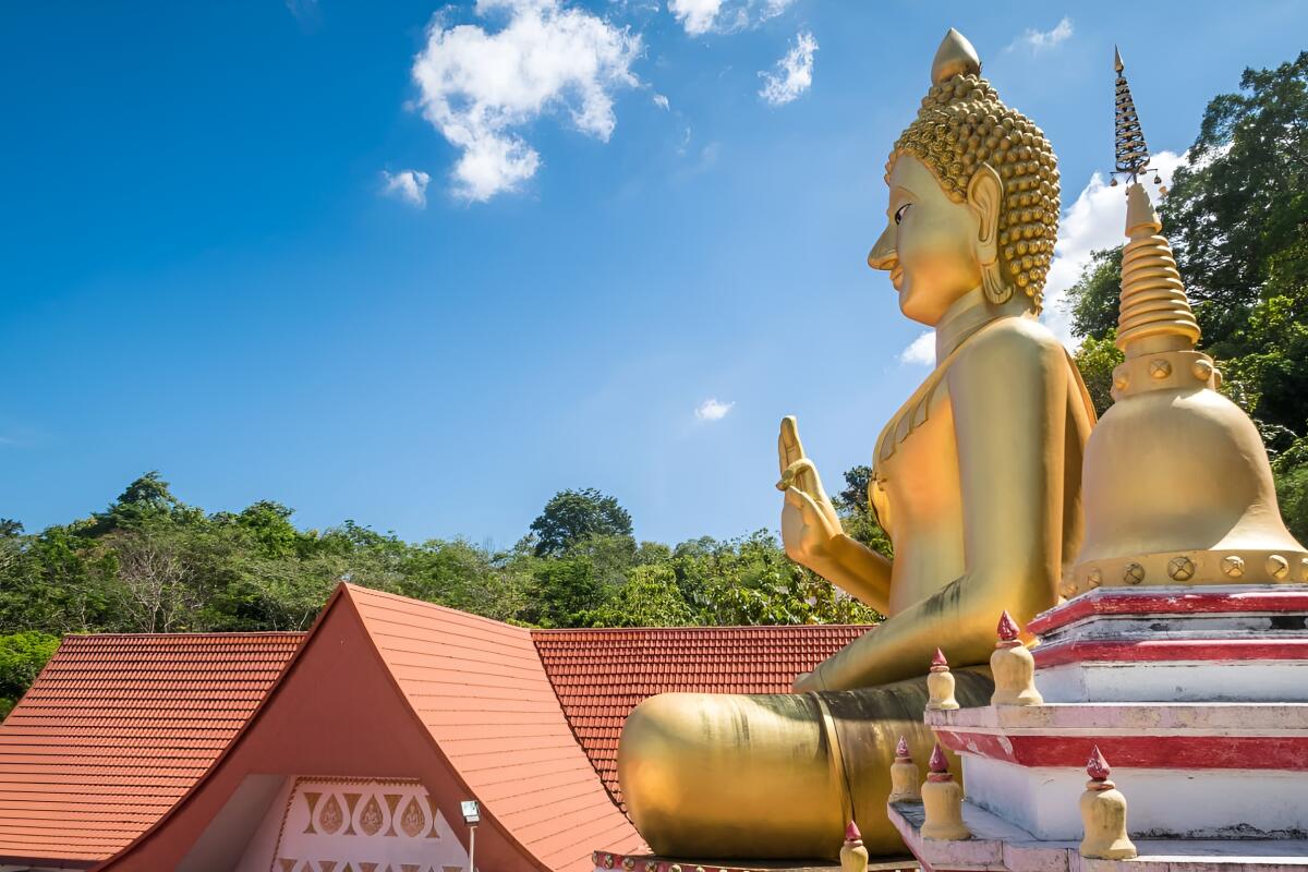 Buddha Shopping Tour