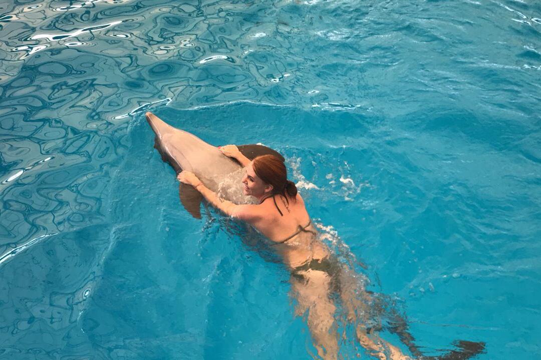 Dolphins swimming