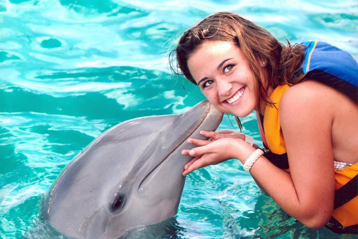 Dolphins swimming