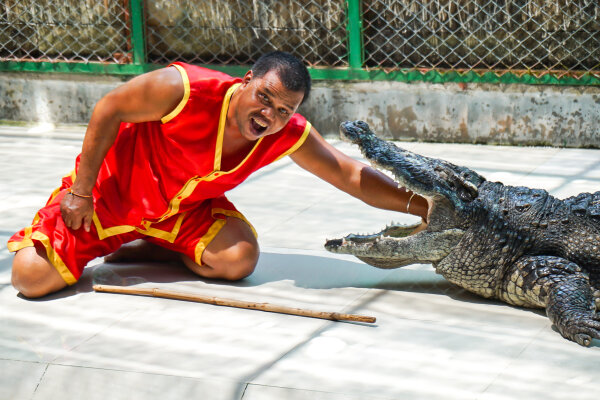 Дискавери - экскурсия для всей семьи, знакомство с животным миром Таиланда