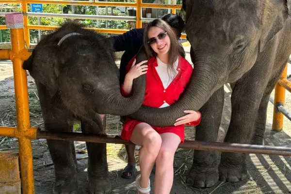 Дискавери - экскурсия для всей семьи, знакомство с животным миром Таиланда