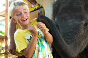 Дискавери - экскурсия для всей семьи, знакомство с животным миром Таиланда