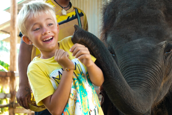 Дискавери - экскурсия для всей семьи, знакомство с животным миром Таиланда