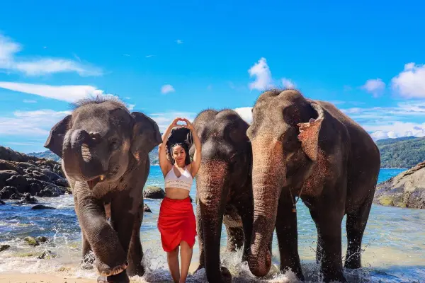 Фотография экскурсии Купание со слоном на пляже Пхукета – общение и фото с слоном у моря