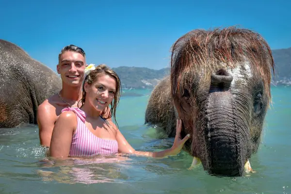 Купание со слоном на пляже Пхукета – общение и фото с слоном у моря