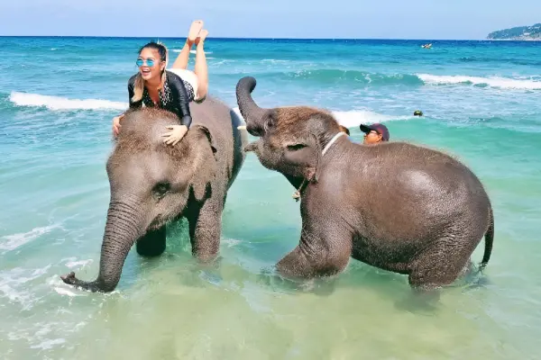 Купание со слоном на пляже Пхукета – общение и фото с слоном у моря