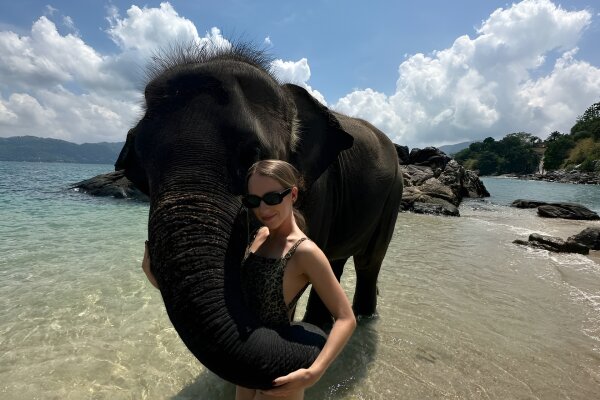 Купание со слоном на пляже Пхукета – общение и фото с слоном у моря