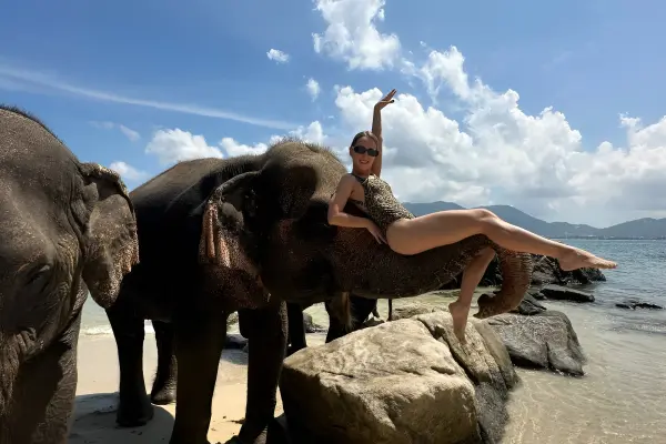 Купание со слоном на пляже Пхукета – общение и фото с слоном у моря