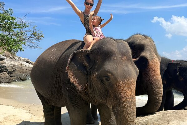 Купание со слоном на пляже Пхукета – общение и фото с слоном у моря
