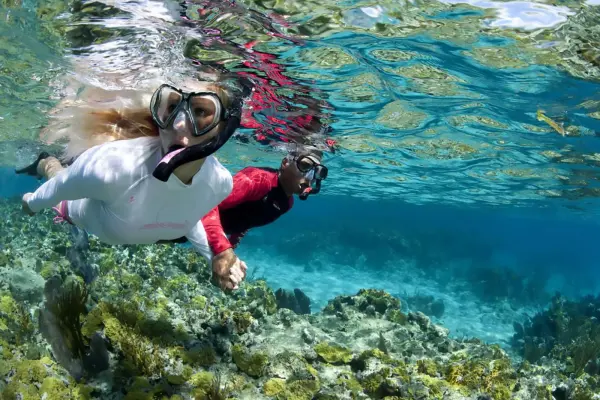 Пхи-Пхи и Бамбу – бухта Майя Бей и снорклинг (комфорт)