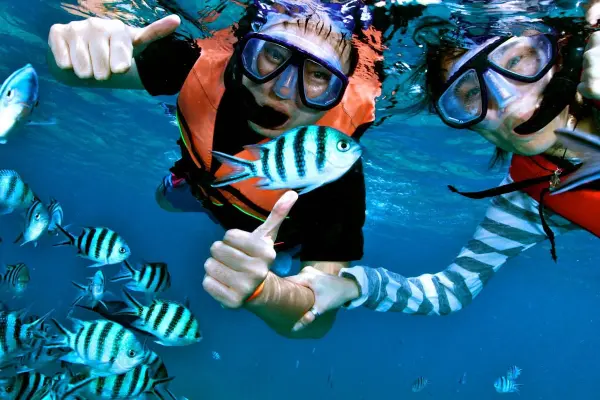 Острова Пхи-Пхи и Бамбу – стандартная морская экскурсия на спидботе