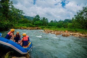 Джангл трофи - экстремальный тур 5 в 1 в парке Пханг Нга
