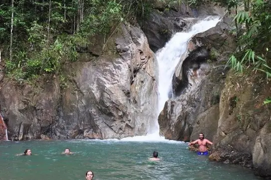 Джангл трофи - экстремальный тур 5 в 1 в парке Пханг Нга