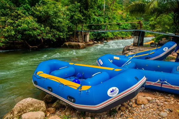 Джангл трофи - экстремальный тур 5 в 1 в парке Пханг Нга