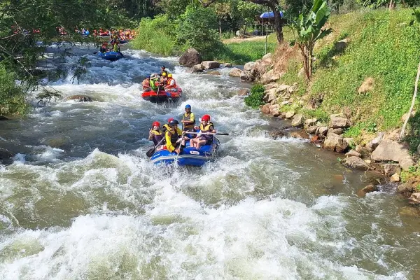 Джангл трофи - экстремальный тур 5 в 1 в парке Пханг Нга
