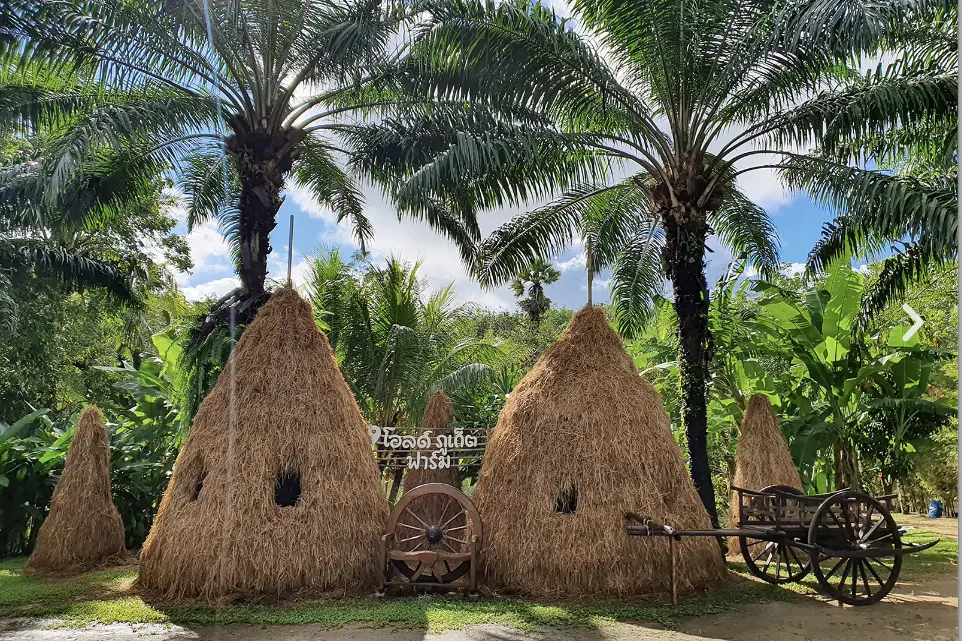 Старинная ферма на Пхукете – знакомство с жизнью и традициями Таиланда