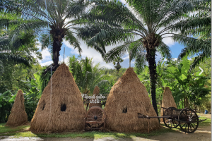 Старинная ферма на Пхукете – знакомство с жизнью и традициями Таиланда