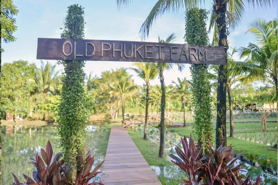 Старинная ферма на Пхукете – знакомство с жизнью и традициями Таиланда