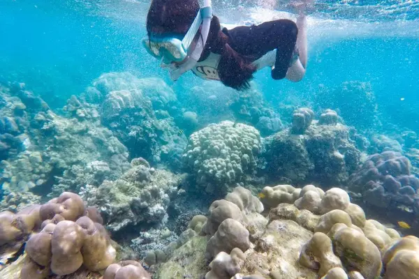 Surin Islands - A Snorkeling Paradise and Island Getaway