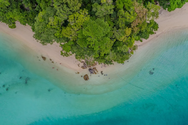 Острова Сурин - рай для снорклинга и отдых на островах