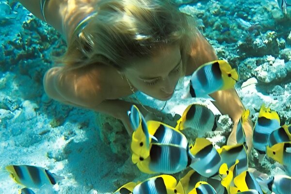 Острова Рача и Корал – снорклинг и пляжный отдых